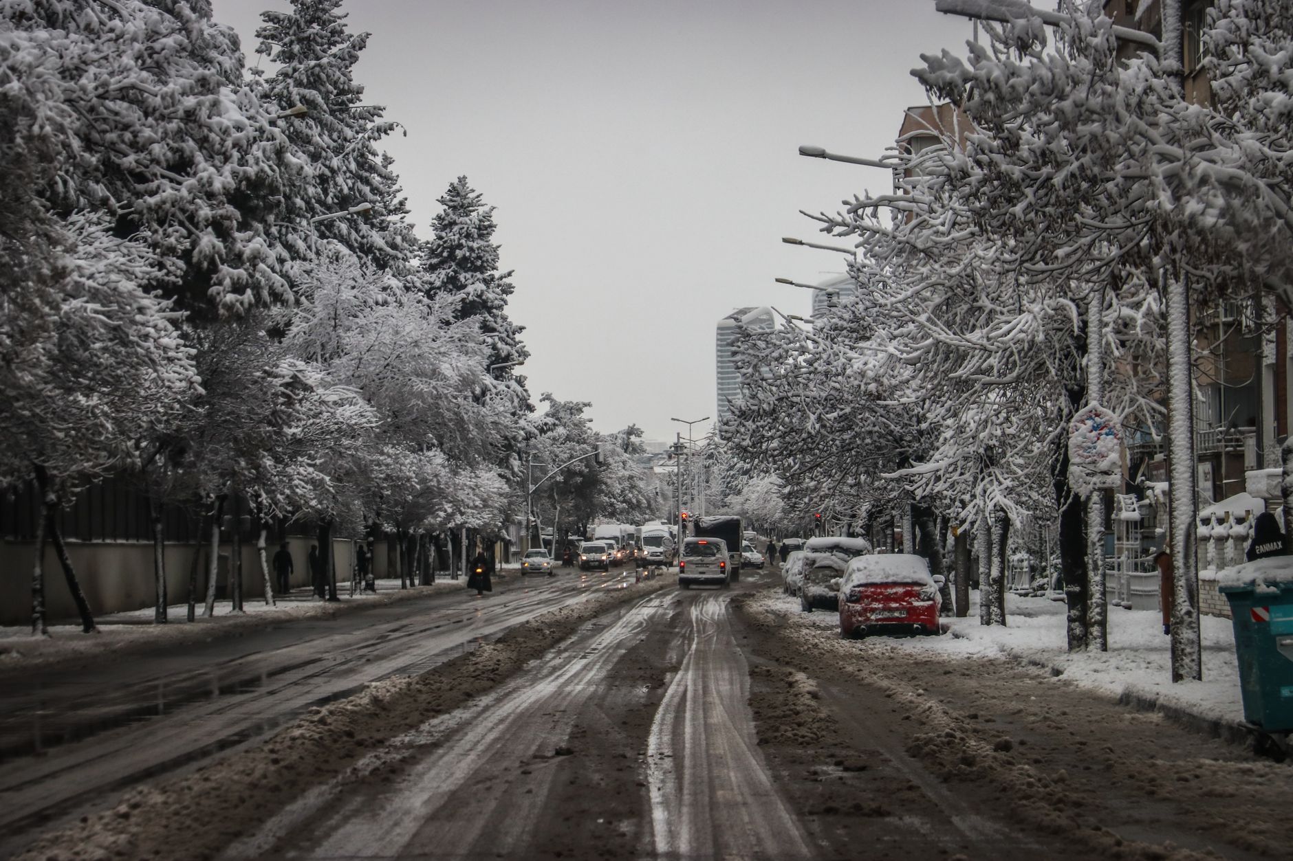Christmas Light Tour & New Year Limousine in Toronto